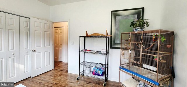 1884 Kennon Rd, Mineral, VA 23117 - bedroom featuring wood finished floors and a closet