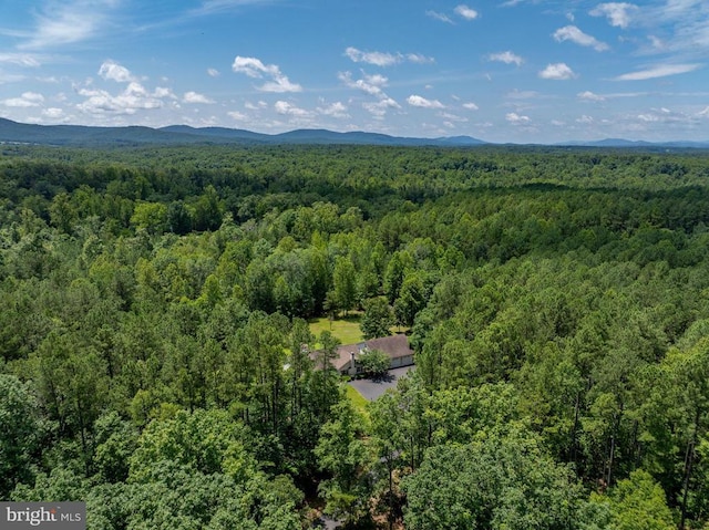 3930 Gilbert Station Rd, Barboursville, VA 22923 - photo 4
