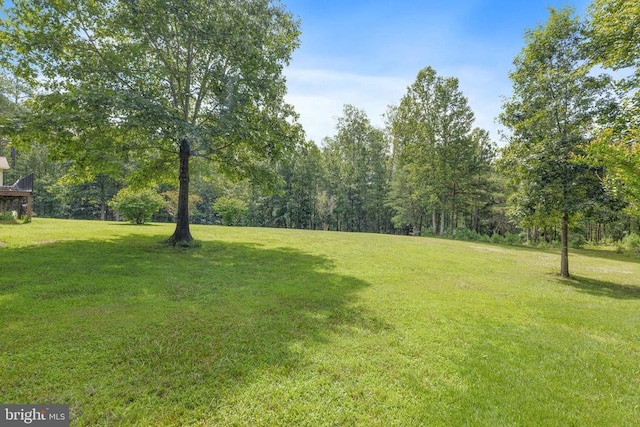 3930 Gilbert Station Rd, Barboursville, VA 22923 - photo 45