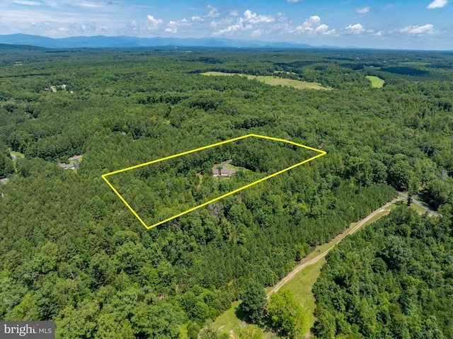 3930 Gilbert Station Rd, Barboursville, VA 22923 - photo 3