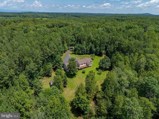 3930 Gilbert Station Rd, Barboursville, VA 22923 - photo 55