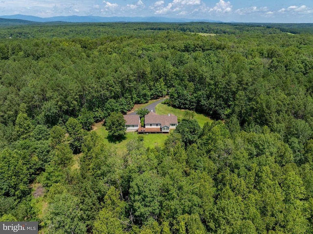 3930 Gilbert Station Rd, Barboursville, VA 22923 - photo 54