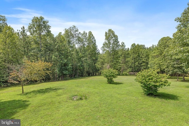 3930 Gilbert Station Rd, Barboursville, VA 22923 - photo 49