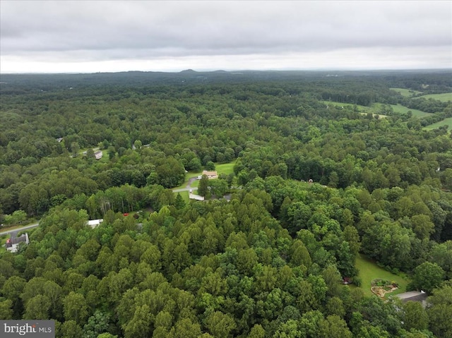 319 Fox Hunters Ln, Madison, VA 22727 - drone / aerial view of a forest