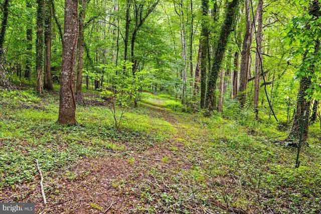 319 Fox Hunters Ln, Madison, VA 22727 - view of woods