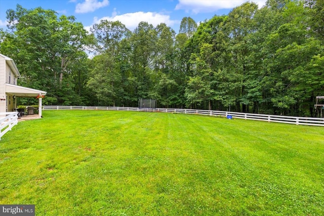 319 Fox Hunters Ln, Madison, VA 22727 - fenced backyard featuring a wooded view