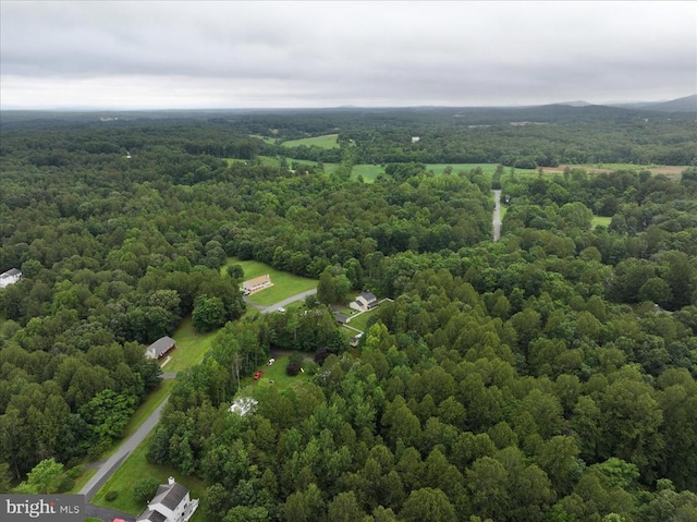 319 Fox Hunters Ln, Madison, VA 22727 - bird's eye view of a heavily wooded area