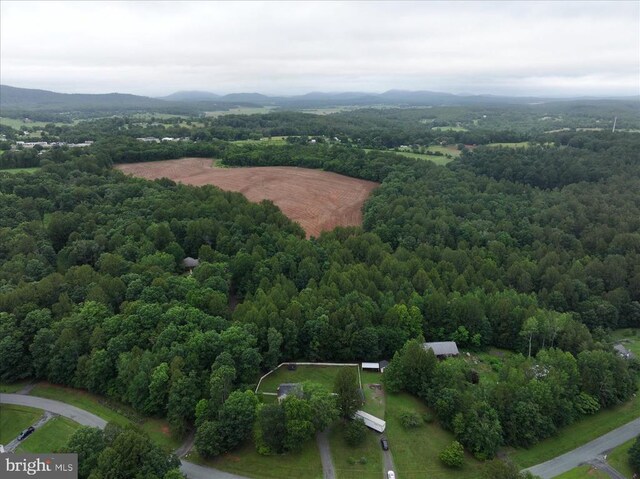 319 Fox Hunters Ln, Madison, VA 22727 - aerial view of a forest