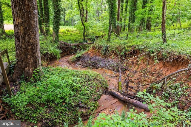 319 Fox Hunters Ln, Madison, VA 22727 - view of nature
