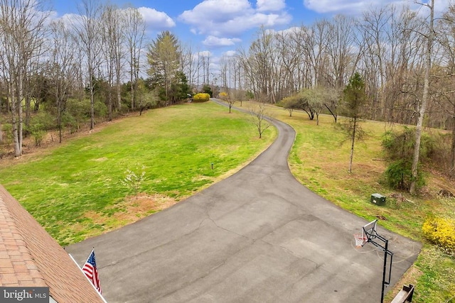 view of home's community featuring a yard