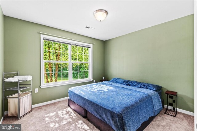 6109 Partlow Rd, Spotsylvania, VA 22551 - photo 18