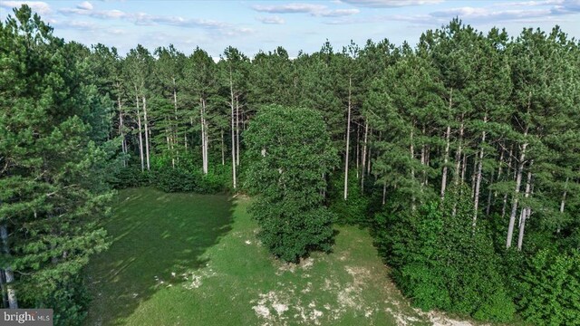 6109 Partlow Rd, Spotsylvania, VA 22551 - photo 50