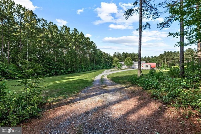 6109 Partlow Rd, Spotsylvania, VA 22551 - photo 31