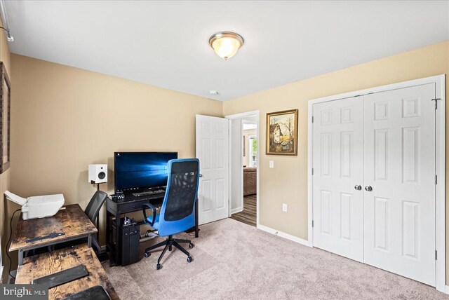 6109 Partlow Rd, Spotsylvania, VA 22551 - photo 21