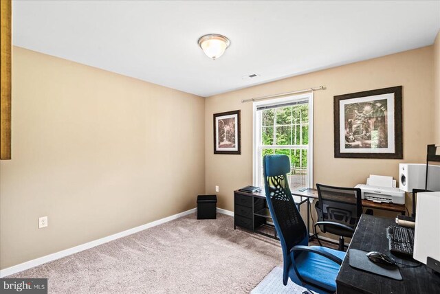 6109 Partlow Rd, Spotsylvania, VA 22551 - photo 20