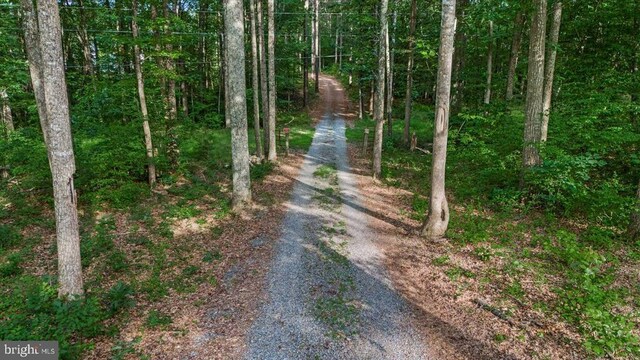 6109 Partlow Rd, Spotsylvania, VA 22551 - photo 52
