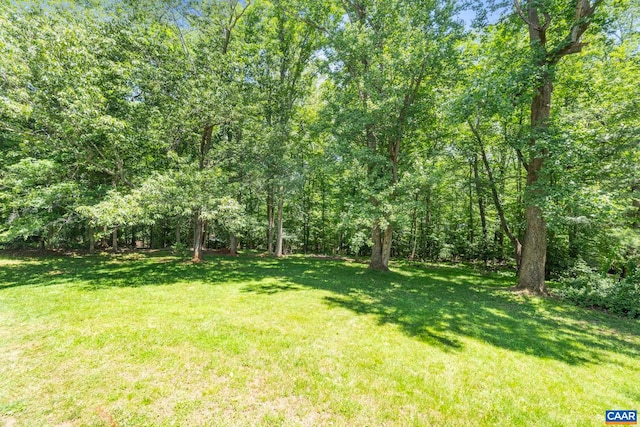 102 Powhatan Cir, Charlottesville, VA 22901 - view of green lawn with a forest view