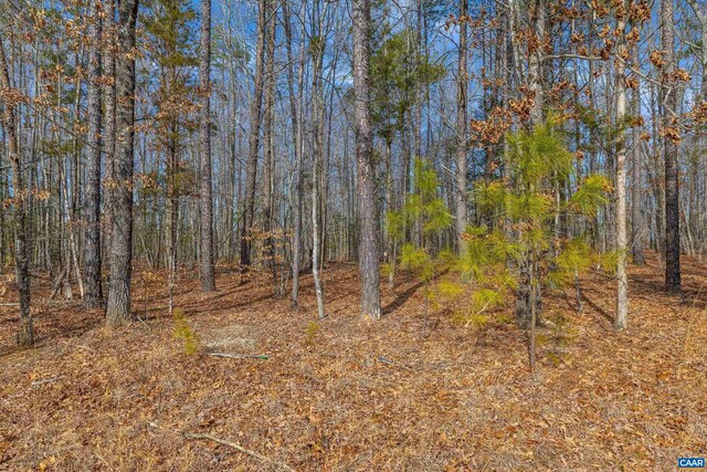 TBD Bible Way Rd, Victoria, VA 23974