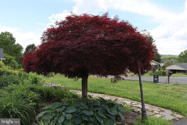 surrounding community with a lawn