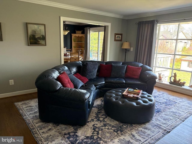 229 Dover Rd, Warrenton, VA 20186 - living area featuring crown molding and wood finished floors