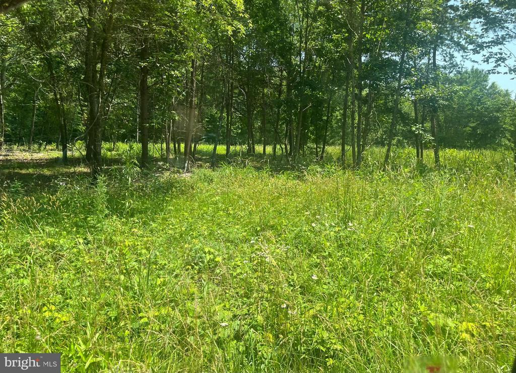 Kentucky Springs Rd, Bumpass, VA 23024 - photo 3
