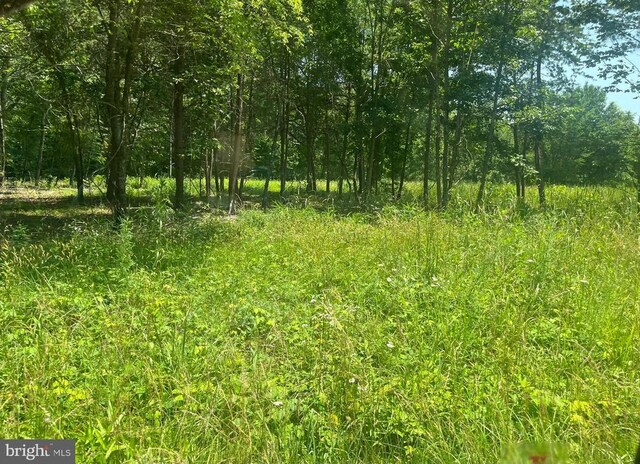 Kentucky Springs Rd, Bumpass, VA 23024 - photo 3