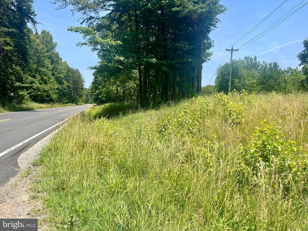 Kentucky Springs Rd, Bumpass, VA 23024 - photo 2