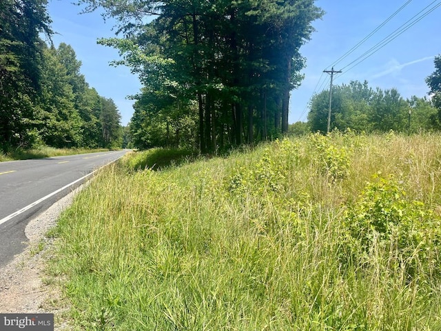 Kentucky Springs Rd, Bumpass, VA 23024 - photo 2