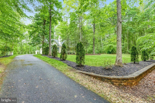 5832 Red Fox Dr, Spotsylvania, VA 22551 - photo 14