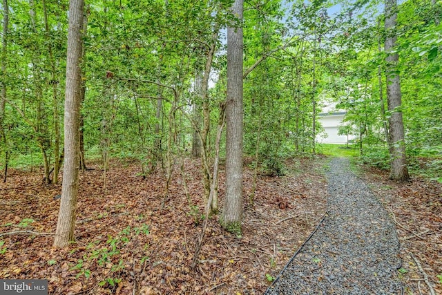 5832 Red Fox Dr, Spotsylvania, VA 22551 - photo 13