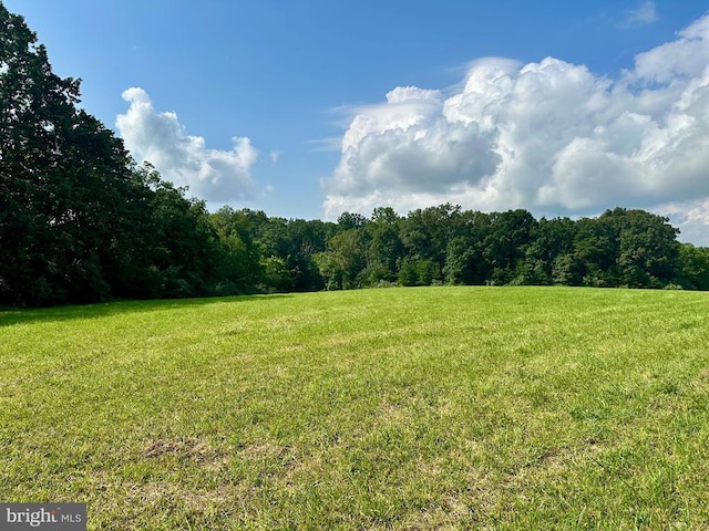 Black Hill Rd, Rixeyville, VA 22737 - photo 2