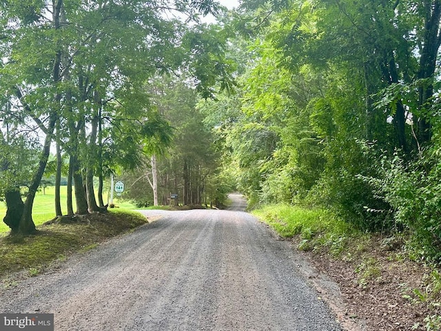 Black Hill Rd, Rixeyville, VA 22737 - photo 17