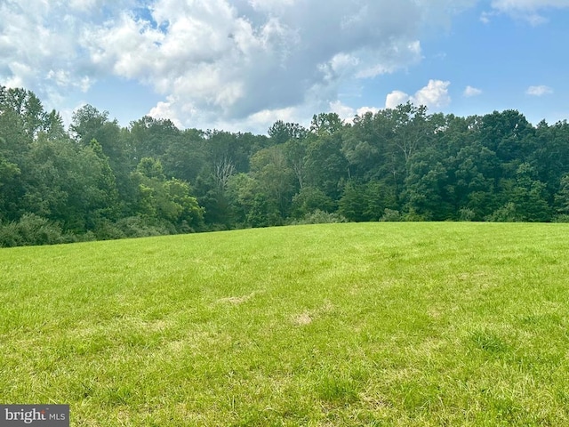 Black Hill Rd, Rixeyville, VA 22737 - photo 16