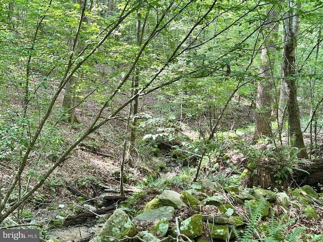 Black Hill Rd, Rixeyville, VA 22737 - photo 9