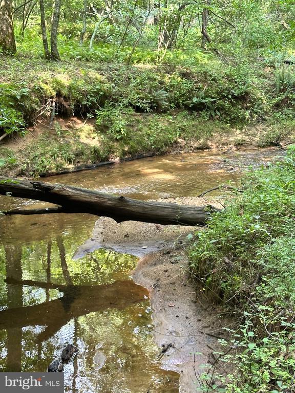 Black Hill Rd, Rixeyville, VA 22737 - photo 6