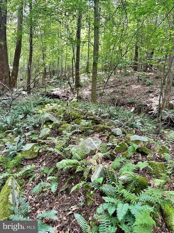 Black Hill Rd, Rixeyville, VA 22737 - photo 10