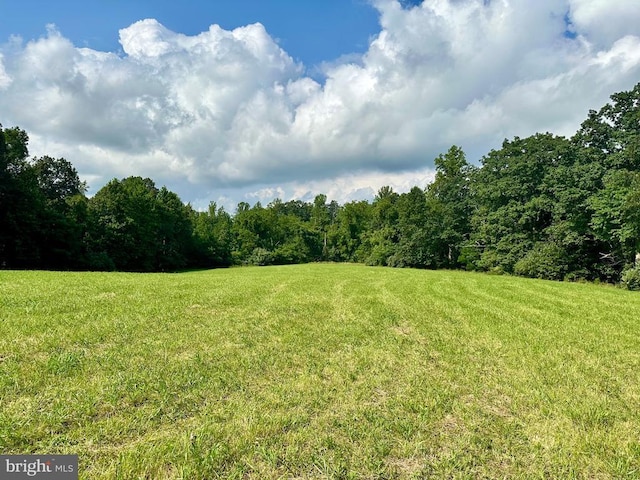 Black Hill Rd, Rixeyville, VA 22737 - photo 4