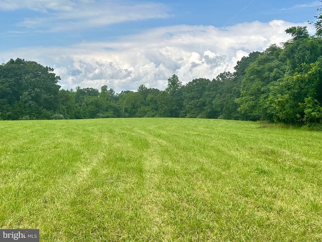 Black Hill Rd, Rixeyville, VA 22737 - photo 15
