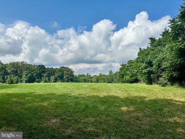 Black Hill Rd, Rixeyville, VA 22737 - photo 1
