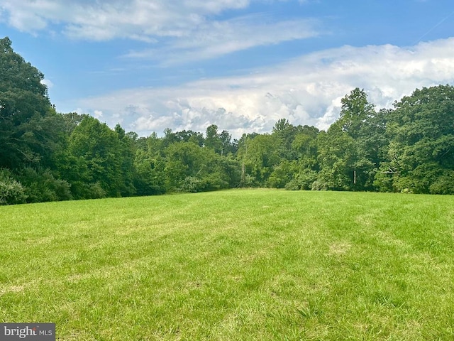 Black Hill Rd, Rixeyville, VA 22737 - photo 14