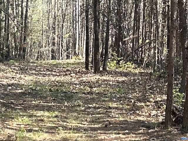 4064 Deep Creek Rd, Kents Store, VA 23084 - view of nature with a view of trees