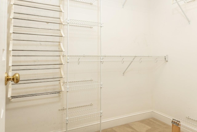 view of spacious closet