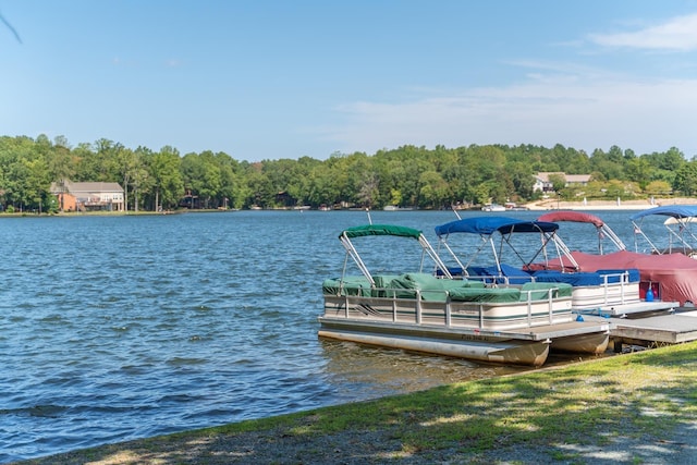 10 Zephyr Rd, Palmyra, VA 22963 - dock area featuring a water view