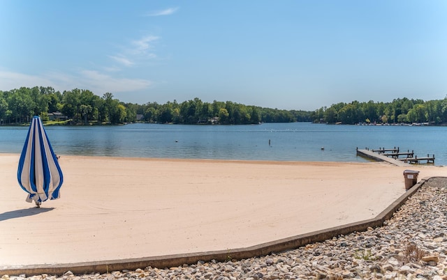 10 Zephyr Rd, Palmyra, VA 22963 - water view with a dock
