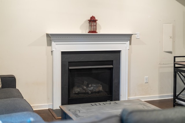 10 Zephyr Rd, Palmyra, VA 22963 - detailed view of wood finished floors, baseboards, electric panel, and a fireplace