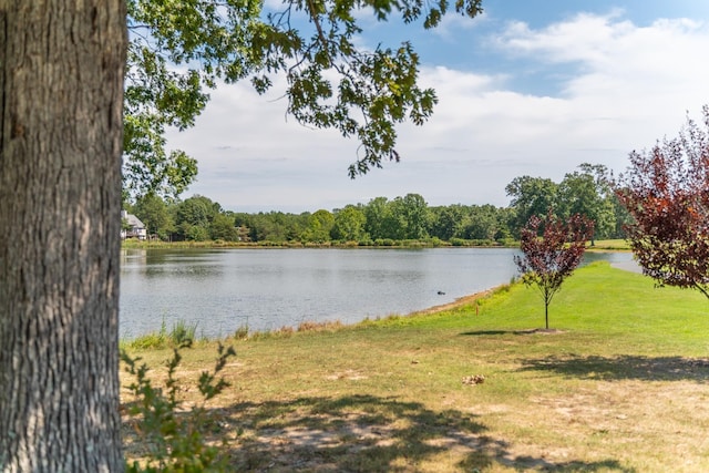 10 Zephyr Rd, Palmyra, VA 22963 - water view with a heavily wooded area