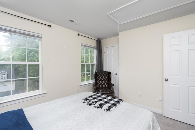 10 Zephyr Rd, Palmyra, VA 22963 - carpeted bedroom featuring attic access and baseboards