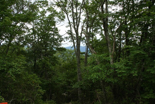LOT90 Summit Dr, Monterey, VA 24465