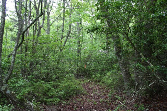 LOT90 Summit Dr, Monterey, VA 24465
