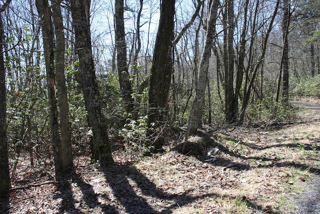 LOT90 Summit Dr, Monterey, VA 24465